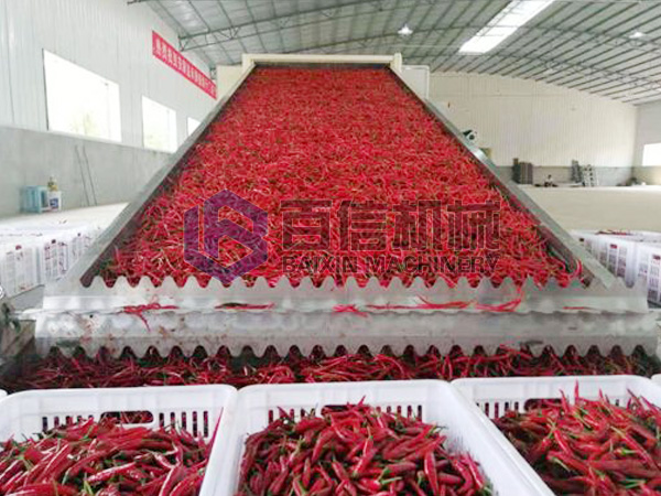 新澳门2025免费原料网
