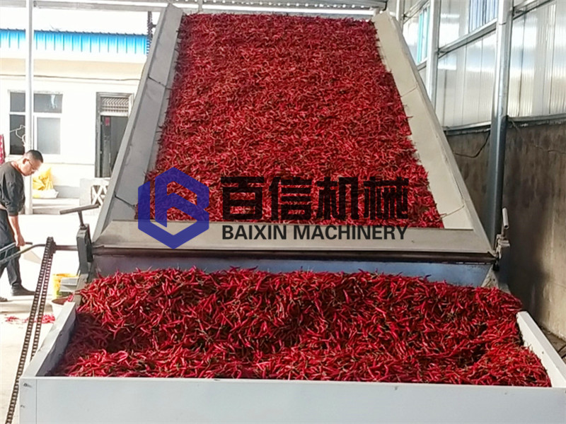 新澳门2025免费原料网