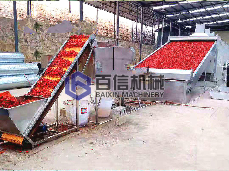 新澳门2025免费原料网