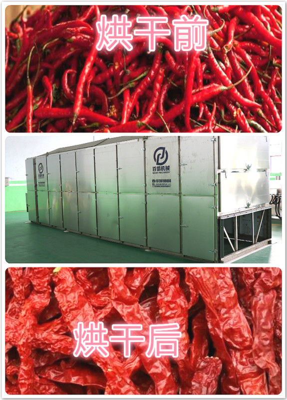 新澳门2025免费原料网