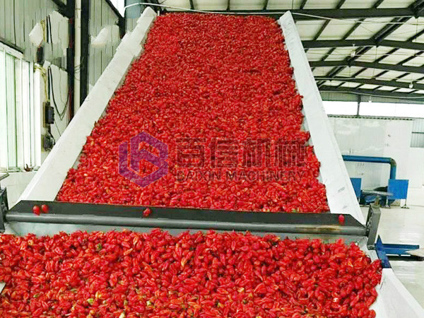 新澳门2025免费原料网