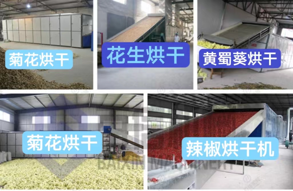 新澳门2024免费原料网