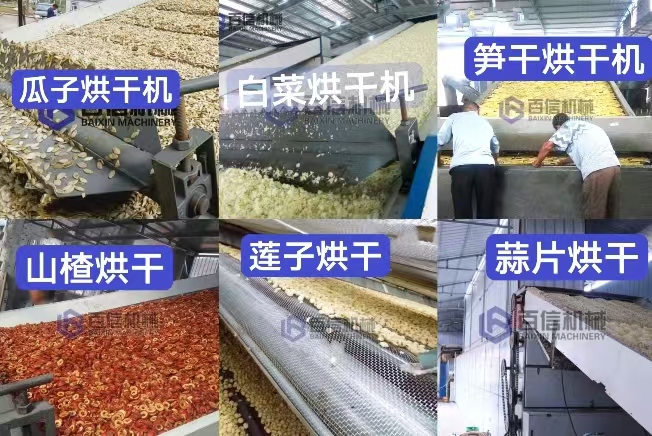 新澳门2025免费原料网