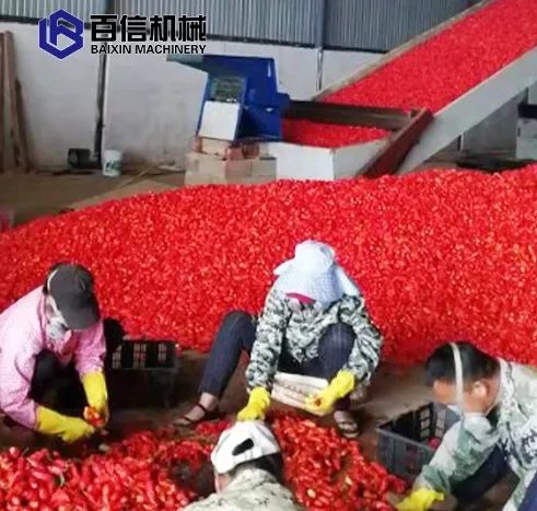新澳门2025免费原料网